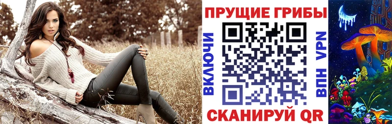 Купить закладки Александровск Галлюциногенные грибы ЛСД