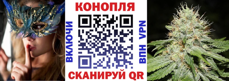 Конопля план  Купить закладки  Александровск 